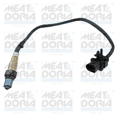 Oxygen Sensor